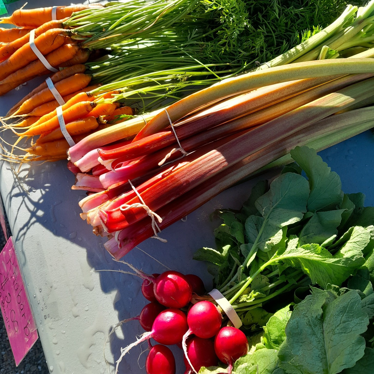 Albert Lea Farmers Market