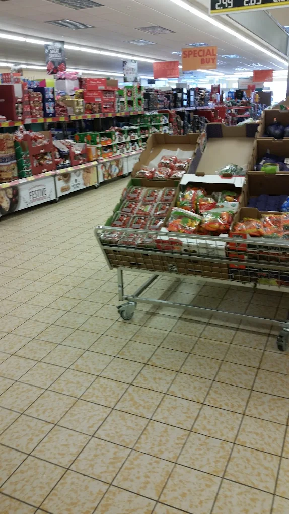 ALDI 8800 Springbrook Drive North W
