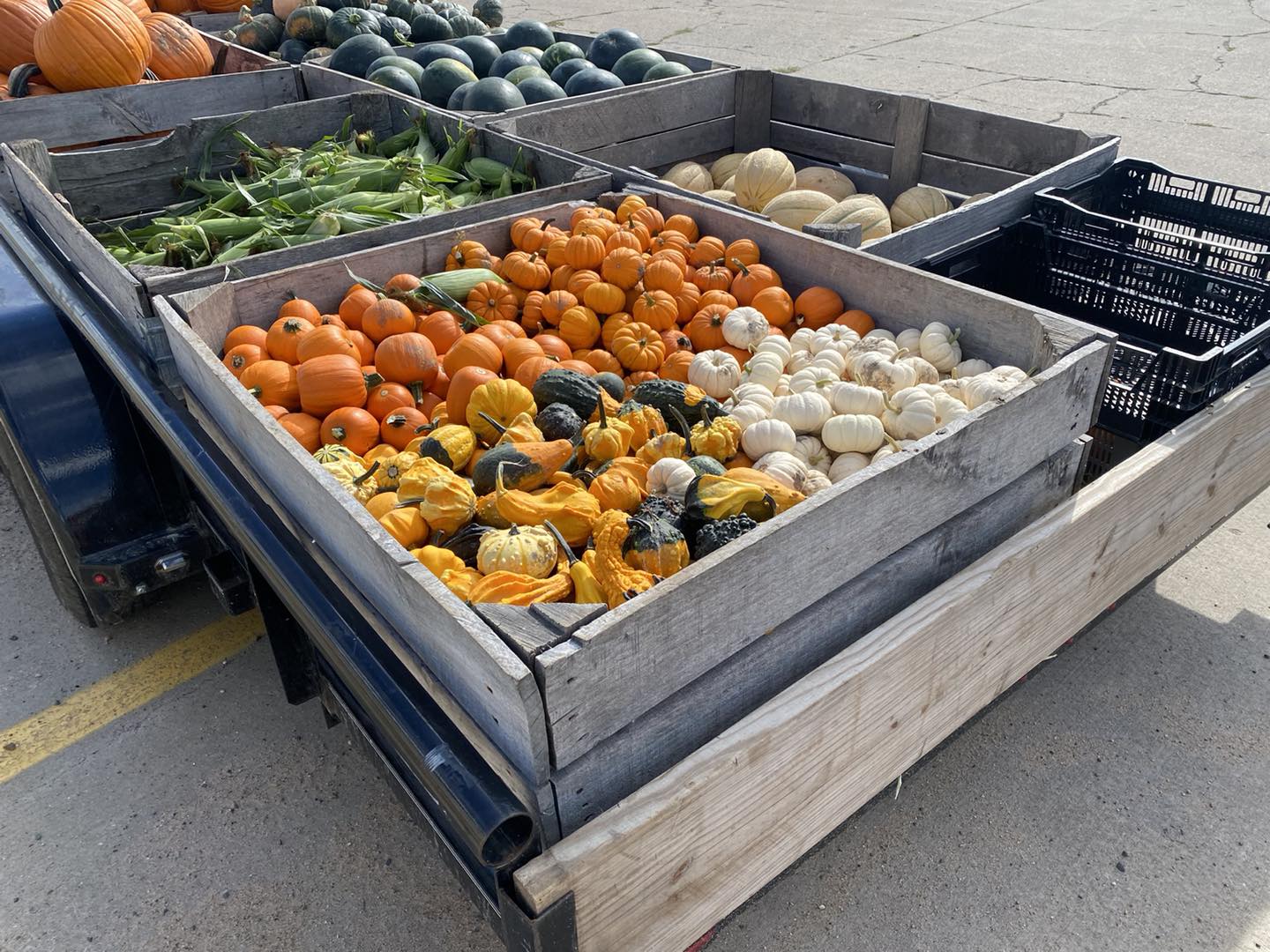 Bemidji Area Farmers Market