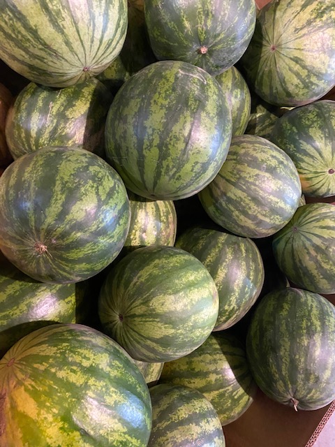 Bemidji Area Farmers Market