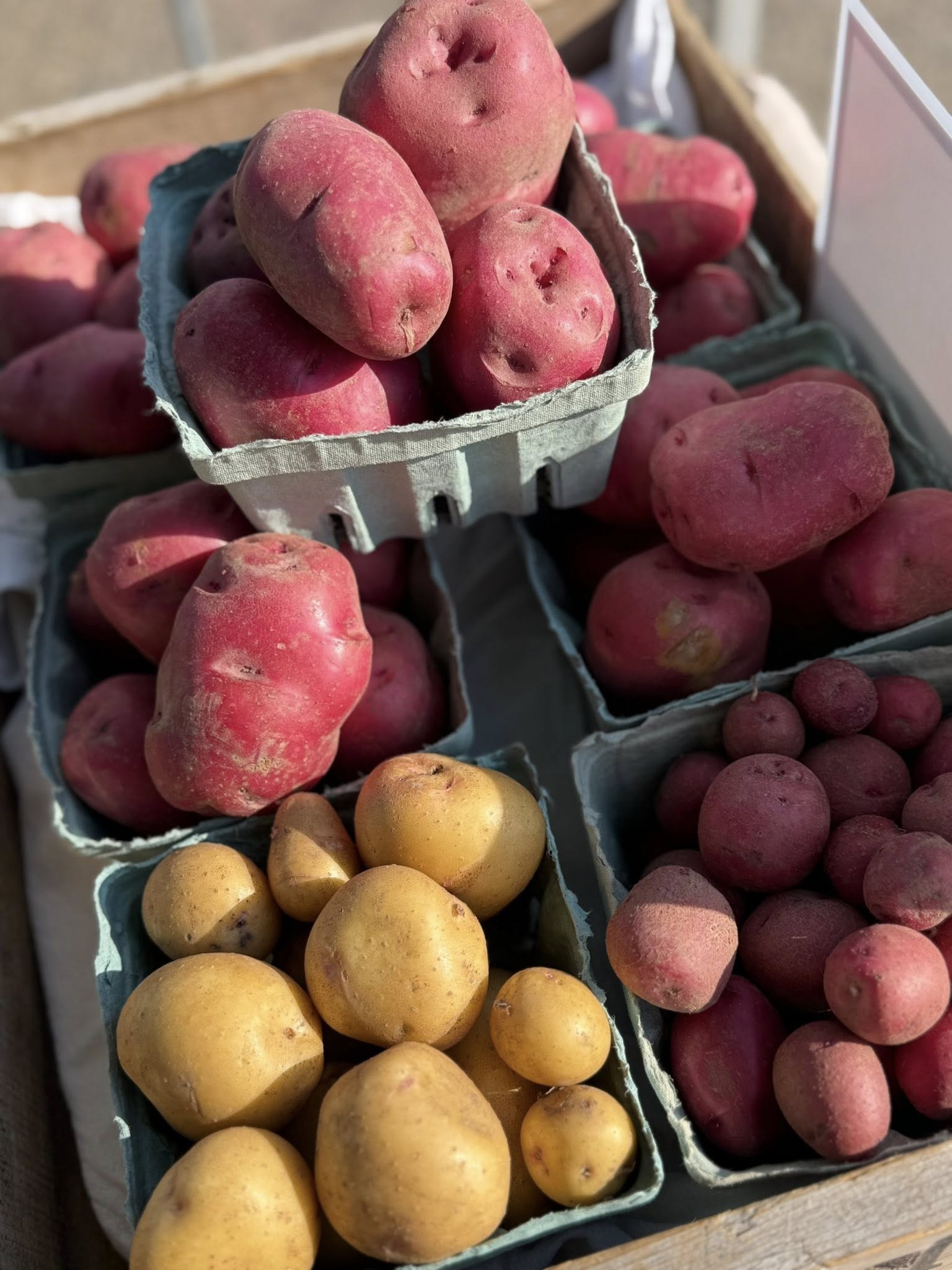 Aitkin Farmers Market - 190 Southgate Dr
