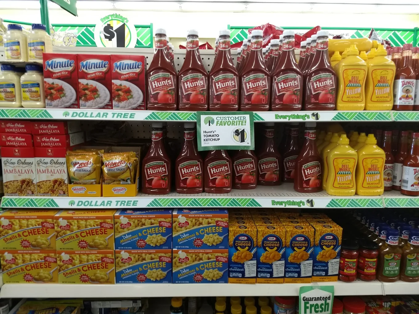 Dollar Tree - Lakeville 1