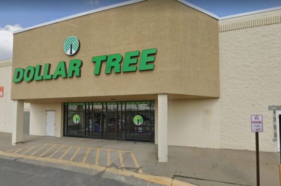 Dollar Tree – Albert Lea 2