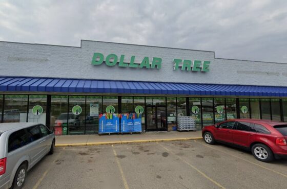 Dollar Tree – Albert Lea 1